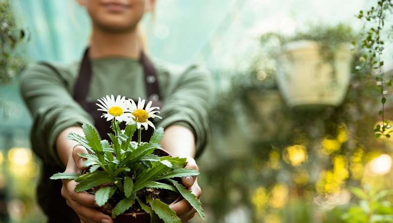 Nolia Trädgårdsmässa